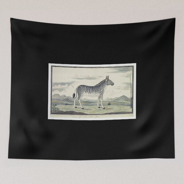 Item preview, Zebra  designed and sold by Amanda1775.