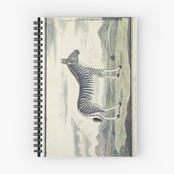 Item preview, Zebra  designed and sold by Amanda1775.