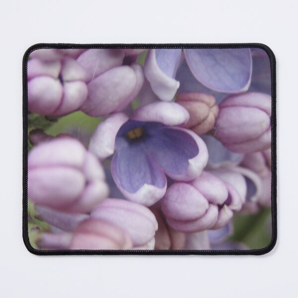 Item preview, Purple Lilacs designed and sold by Dacia Tomnitz.