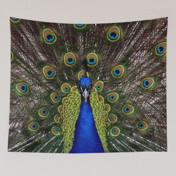 Item preview, Beautiful Peacock Image The Elegant Peacock Display of beautiful Feathers. designed and sold by Abstractdiva.