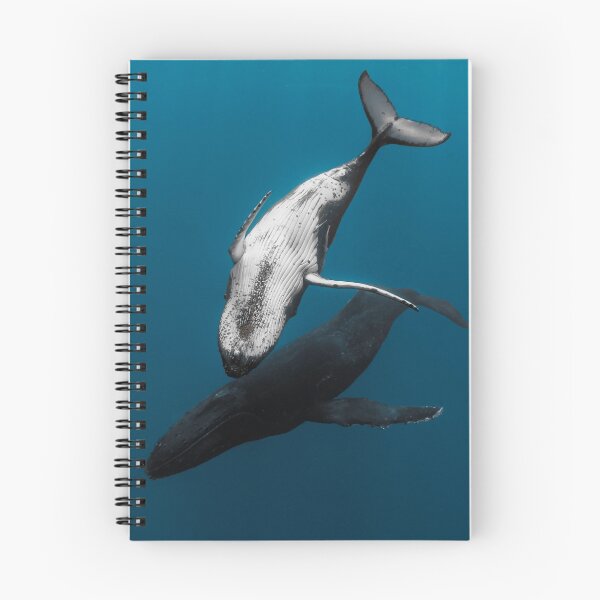 Item preview, Whale Love designed and sold by colindavisphoto.