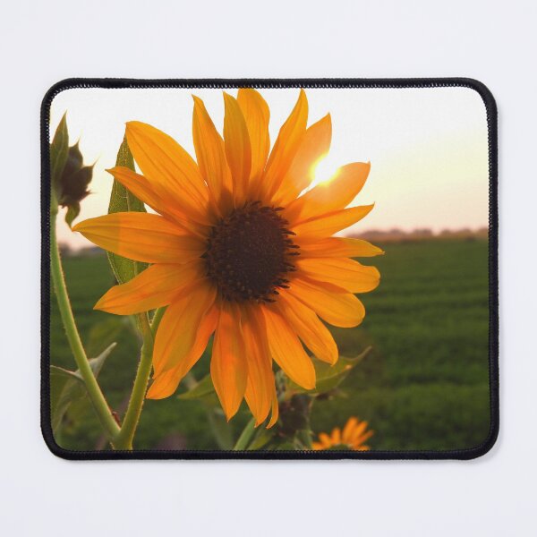 Item preview, sunflower and the sun designed and sold by Stephanie Skeem.