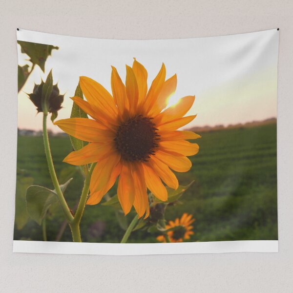 Item preview, sunflower and the sun designed and sold by Stephanie  Skeem.