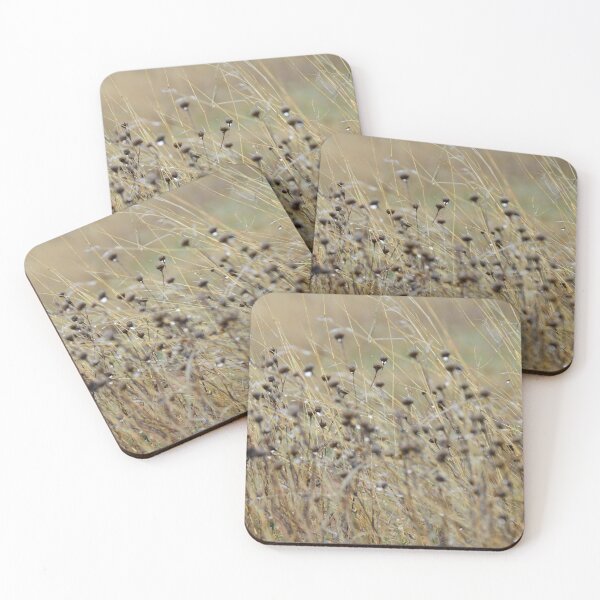 Item preview, Dewey Fields designed and sold by Dacia Tomnitz.