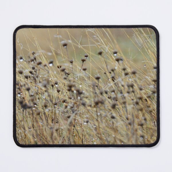 Item preview, Dewey Fields designed and sold by Dacia Tomnitz.