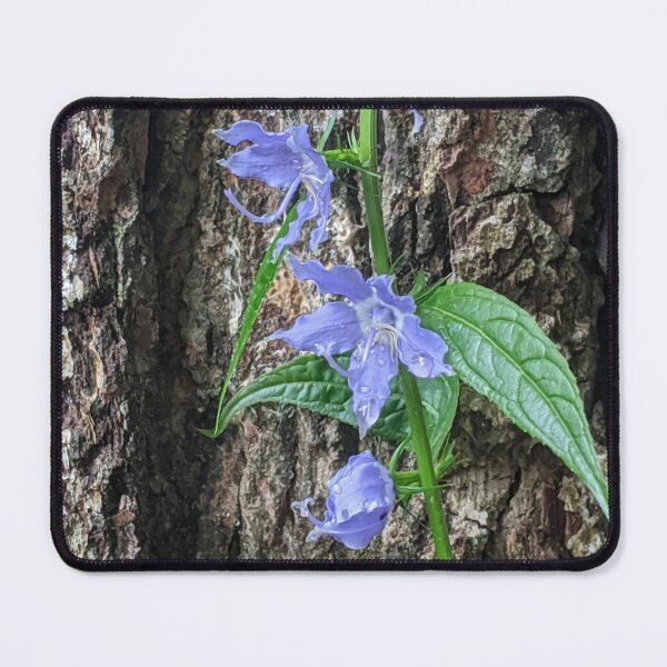 Item preview, Tall Bellflower Against Tree designed and sold by JaimeWinchester.