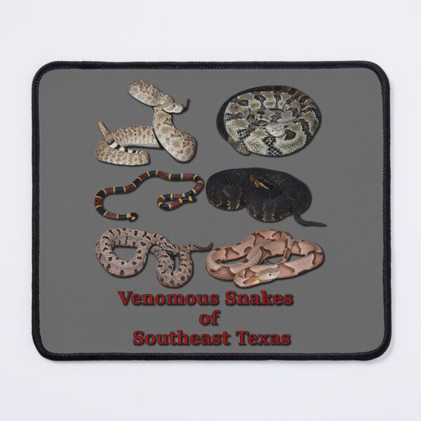 Item preview, Venomous Snakes of Southeast Texas designed and sold by Paul-Prints.