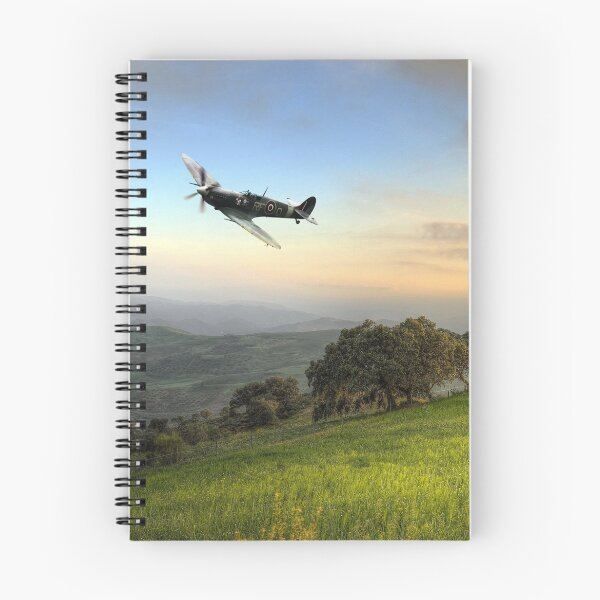 Artikelvorschau, Spitfire Dämmerung entworfen und verkauft von Airpower Art.