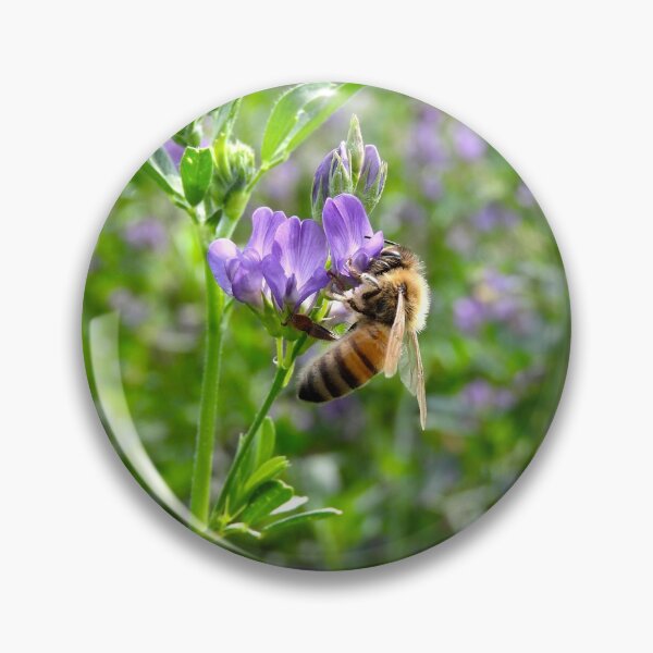 Item preview, beautiful bee on a purple alfalfa flower  designed and sold by Stephanie  Skeem.