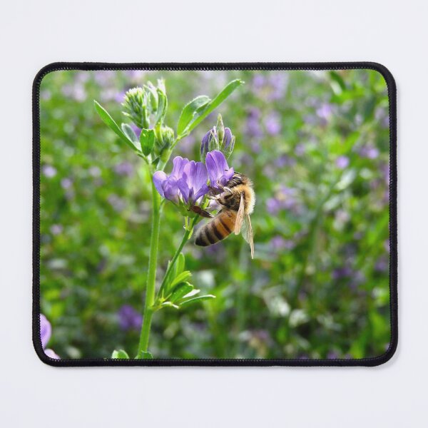 Item preview, beautiful bee on a purple alfalfa flower designed and sold by Stephanie Skeem.