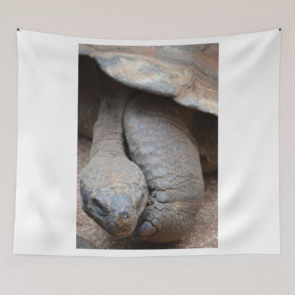 Item preview, Tortoise  designed and sold by Dacia Tomnitz.