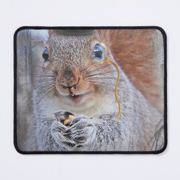 Item preview, Mr. Earl the Dapper Squirrel designed and sold by Autumn Seas Photography.
