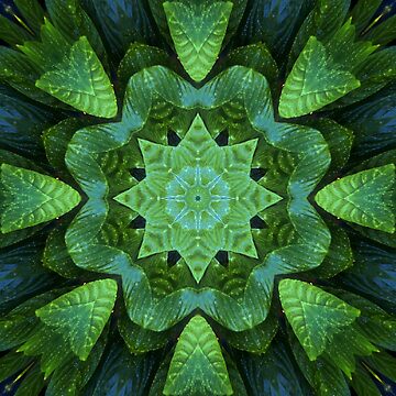 Artwork thumbnail, Madre de las Plantas by Alexa Sunshine Rose