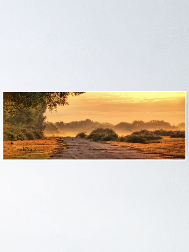 Thumbnail 1 of 3, Poster, Morning mist designed and sold by Southernlass.