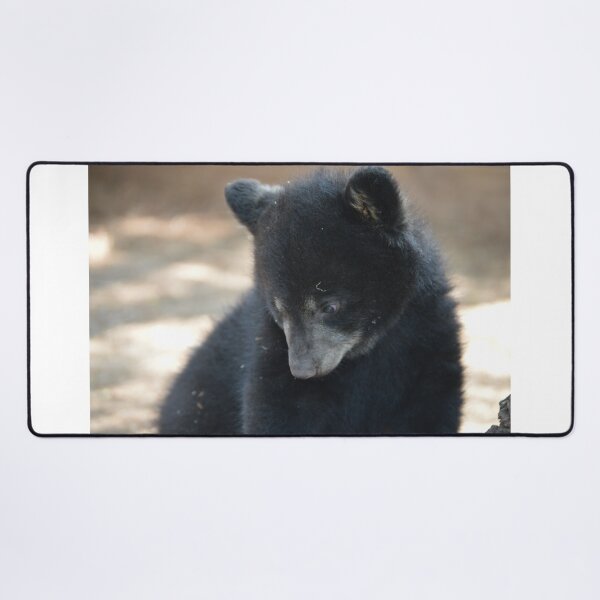 Item preview, Baby Black Bear designed and sold by Dacia Tomnitz.