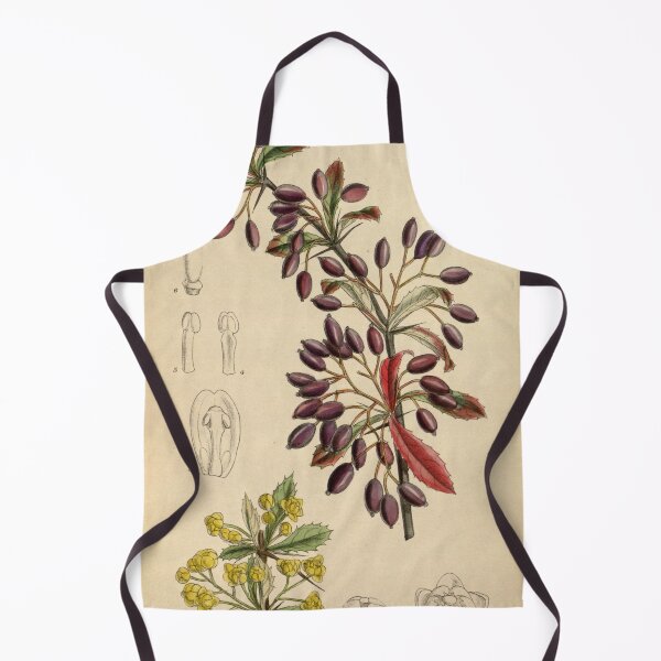 Item preview, Berberis beaniana 144 8781 designed and sold by EsotericBotanic.