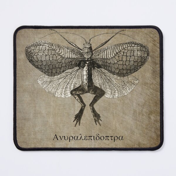 Item preview, Moth Frog Anura Lepidoptera Vintage Illustration designed and sold by KALEIDOSCOPE UK.