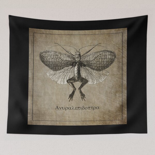 Item preview, Moth Frog Anura Lepidoptera Vintage Illustration designed and sold by KALEIDOSCOPE UK.