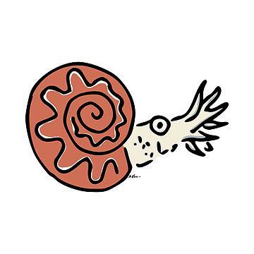 Artwork thumbnail, Ammonite by atelierkota