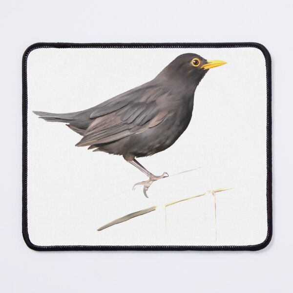Aperçu de l'œuvre Mme Blackbird est brune créée et vendue par IvaW.