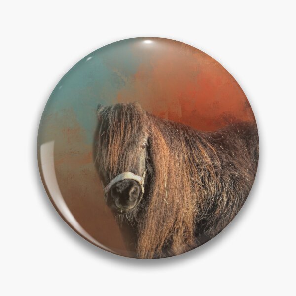 Shetland Pony Pins and Buttons for Sale