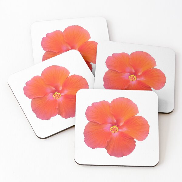 Item preview, Hibiscus Flower - No Background designed and sold by Floraccentric.