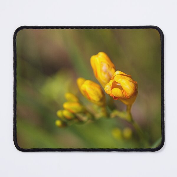 Item preview, Freesia Hand Spring designed and sold by Joy Watson - Natural Light Photography .
