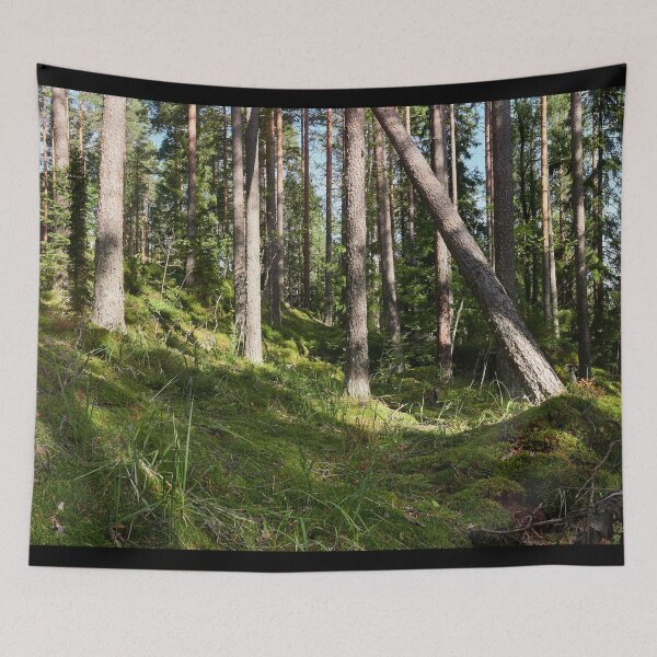 Item preview, Hillside panorama. Seitseminen National Park designed and sold by Jouko Lehto Photography.