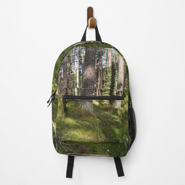 Item preview, Hillside panorama. Seitseminen National Park designed and sold by Jouko Lehto Photography.