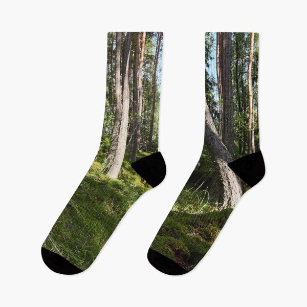 Item preview, Hillside panorama. Seitseminen National Park designed and sold by Jouko Lehto Photography.