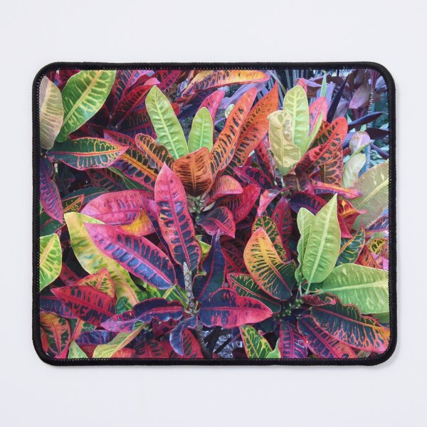 Item preview, Tropical Leaves Red Orange Coral in Brisbane Botanical Gardens designed and sold by Jenie Yolland.