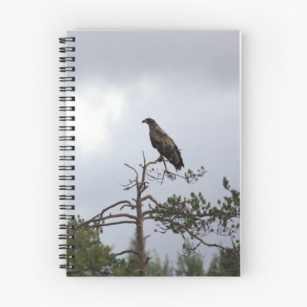 Item preview, An eagle's watchpoint designed and sold by Matti Eskelinen.