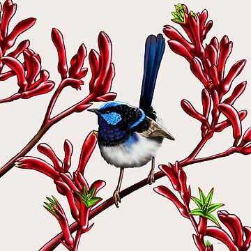 Artwork thumbnail, Blue Wren in Kangaroo Paw Flowers #2 by Australian artist Laural Retz by Laural Retz