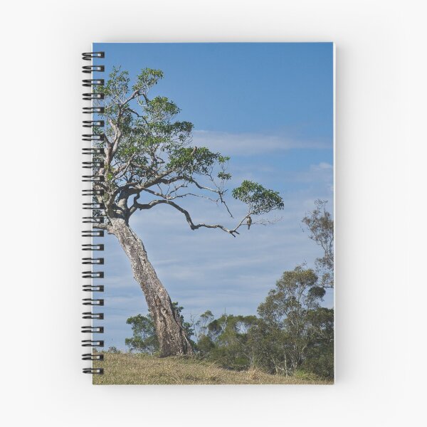 Item preview, The tree on the hill designed and sold by Kerry LeBoutillier.