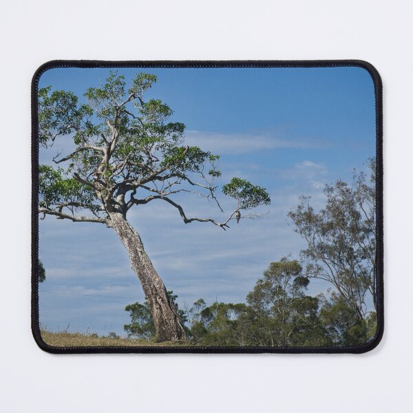 Item preview, The tree on the hill designed and sold by Kerry LeBoutillier.