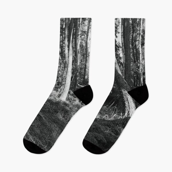 Item preview, Hillside panorama. Seitseminen National Park bw designed and sold by Jouko Lehto Photography.