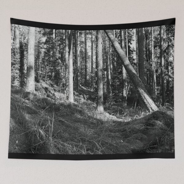 Item preview, Hillside panorama. Seitseminen National Park bw designed and sold by Jouko Lehto Photography.