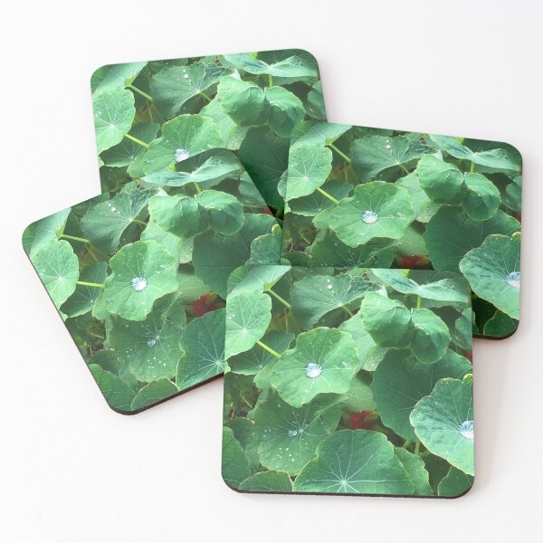 Item preview, Dewy Nasturtium designed and sold by Jenie Yolland.