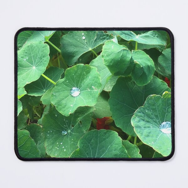 Item preview, Dewy Nasturtium designed and sold by Jenie Yolland.