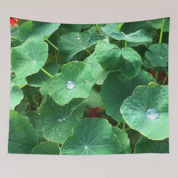 Item preview, Dewy Nasturtium designed and sold by Jenie Yolland.