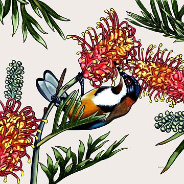 Artwork thumbnail, Eastern Spinebill in Grevillea #1 by Australian artist Laural Retz by Laural Retz