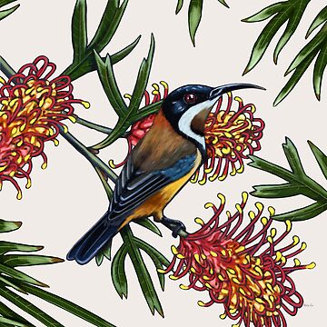 Artwork thumbnail, Eastern Spinebill in Grevillea #2 by Australian artist Laural Retz by Laural Retz