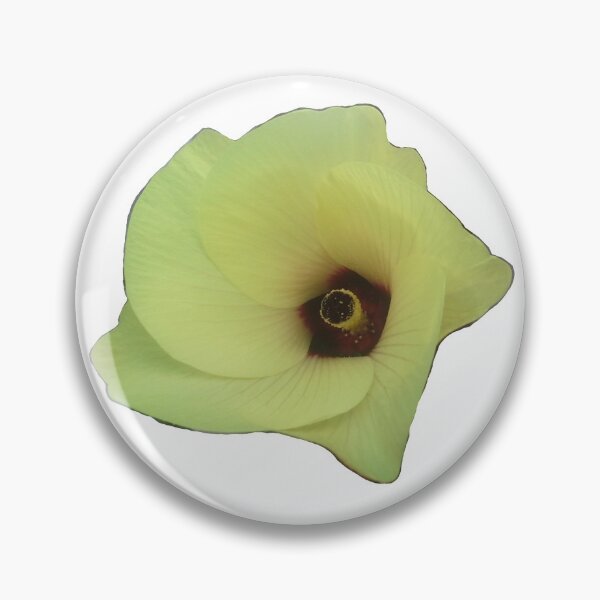 Item preview, Okra Flower designed and sold by Floraccentric.