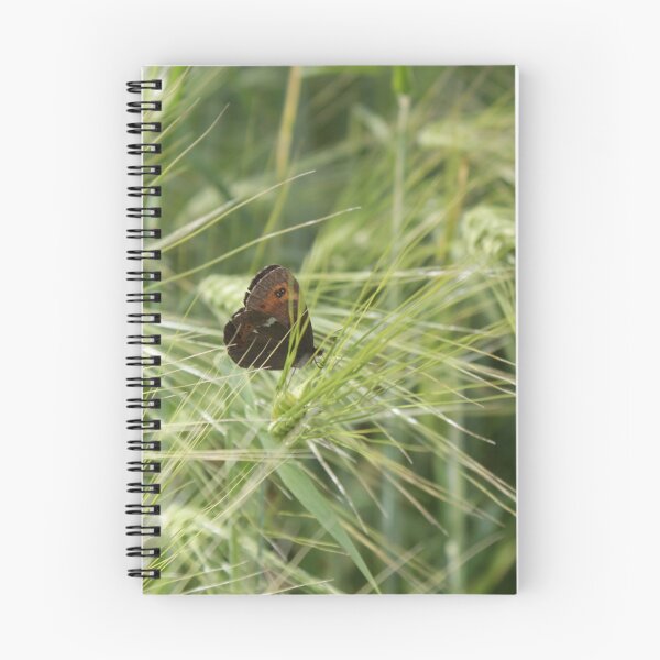 Item preview, The butterfly among the spikelets designed and sold by Matti Eskelinen.