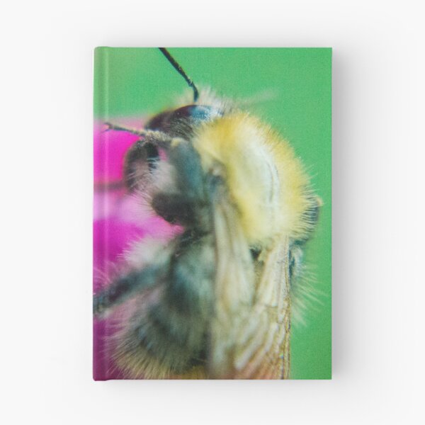 Item preview, Bee At Work designed and sold by Prophy.