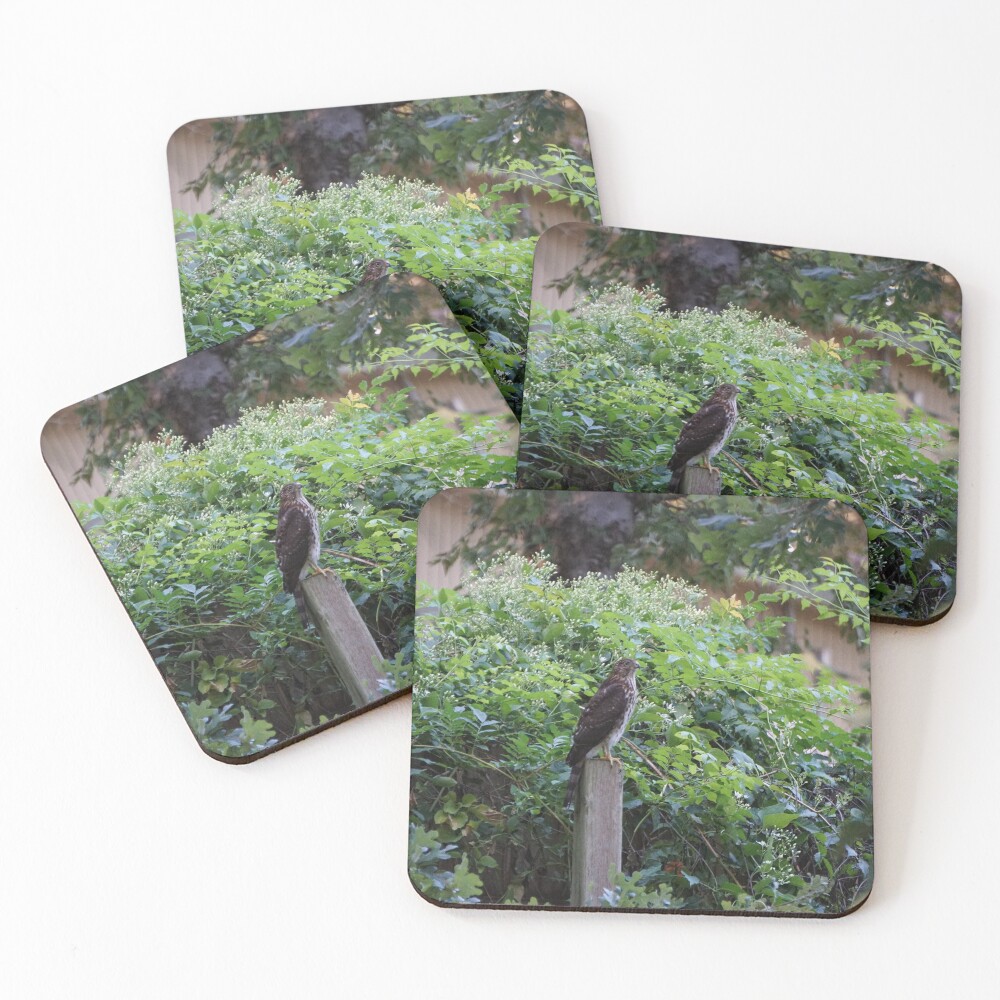 Item preview, Coasters (Set of 4) designed and sold by PyroPython.
