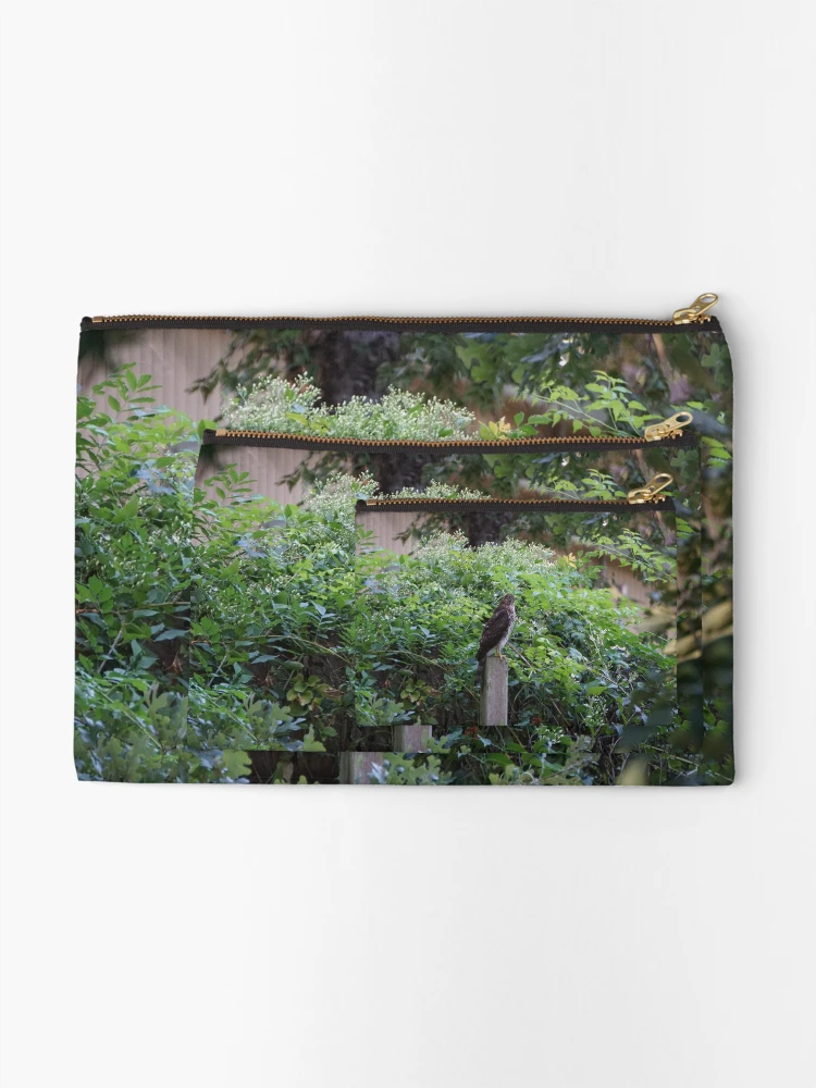 Thumbnail 2 of 4, Zipper Pouch, Cooper's Hawk designed and sold by PyroPython.