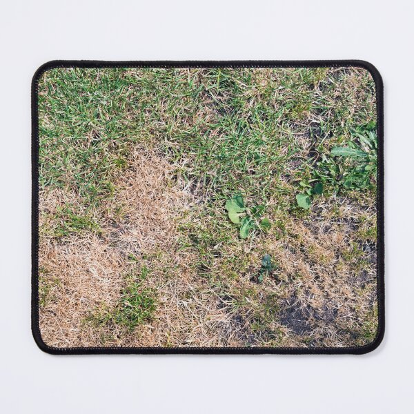 Item preview, Grass With Bald and Dry Patches designed and sold by MarkUK97.