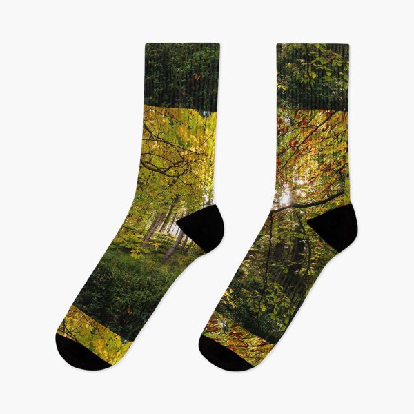 Item preview, Autumn morning colors in an Irish forest designed and sold by AlbertMi.