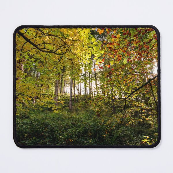 Item preview, Autumn morning colors in an Irish forest designed and sold by AlbertMi.
